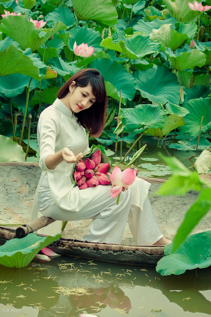 《芈月传》全集